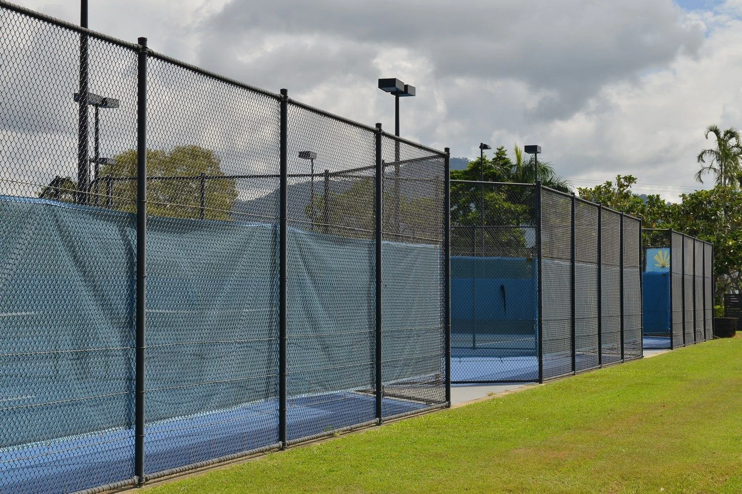 PVC coated court fencing with blue screening and floodlights